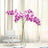 Purple orchids in a glass vase on a table with a cake and glassware.