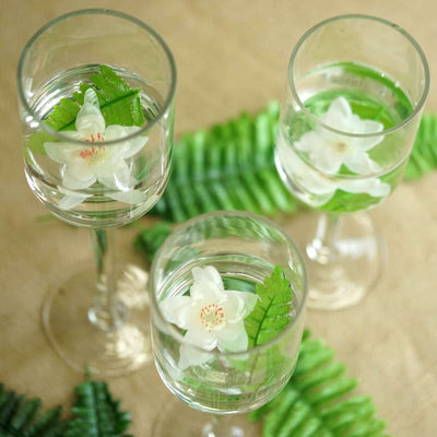 Stylish glasses with flowers and ferns in water on a natural background.