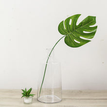 2 Pack - 12inch Clear Glass Flower Vase - Bud Vase Centerpieces