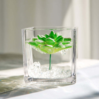 Succulent plant in glass container with decorative beads