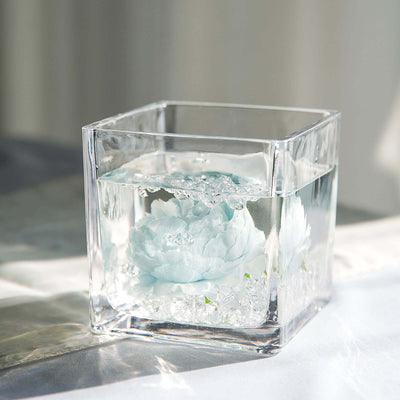 Square glass vase with water and a light blue flower.