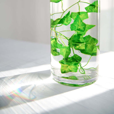 Glass vase with green leaves reflecting sunlight.