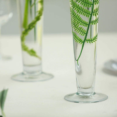 Elegant glass vases with green ferns in water on a neutral background.