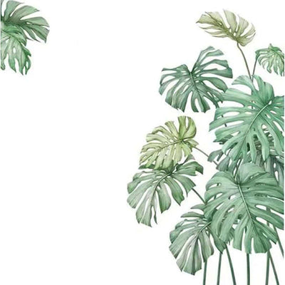 Monstera plant leaves illustration on white background