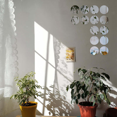 Potted plants casting shadows on a wall with circular mirrors and artwork.