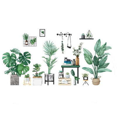 Assorted indoor plants in decorative pots and arrangements.