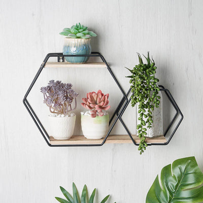 Hexagon wall shelf with succulents in decorative pots, showcasing a modern decor style.