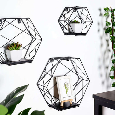 Black geometric wall shelves with plants and a picture frame