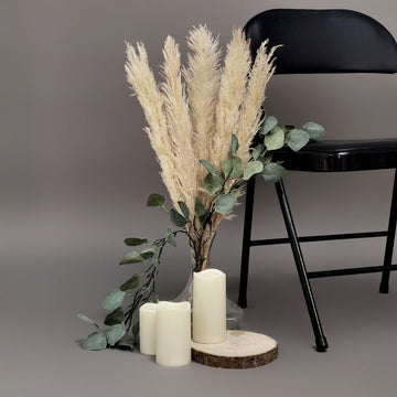 Add a Touch of Natural Elegance with Dried Wheat Tint Pampas Grass
