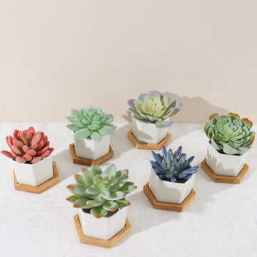 6 Pack | 3" White Geometric Hexagon Ceramic Planter Pots, Bamboo Tray Base w/ Drainage Hole, Cactus and Succulent Planters With Removable Bottom