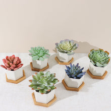 White Ceramic 3 Inch Geometric Hexagon Planter Pots with Removable Bottom and Drainage Hole Bamboo Tray Base 6 Pack