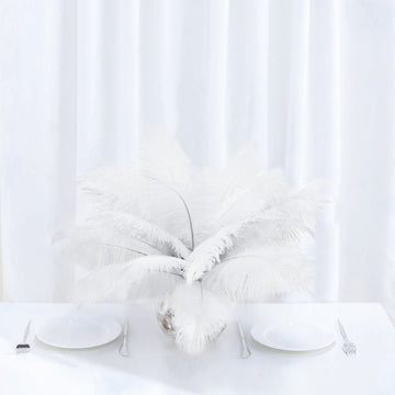 12 Pack White Natural Plume Real Ostrich Feathers, DIY Centerpiece Fillers 13"-15"
