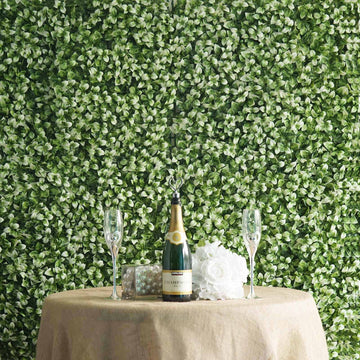11 Sq ft. | White Tip Green Boxwood Hedge Garden Wall Backdrop Mat - 4 Artificial Panels