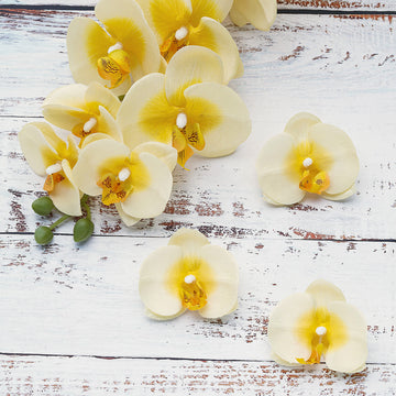 20 Flower Heads Yellow Artificial Silk Orchids DIY Crafts 4"